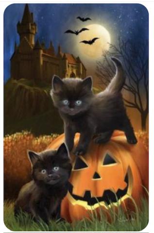 Spooky Cats and Castles! 