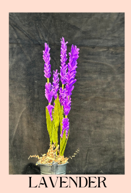 paper lavender flowers in a pot
