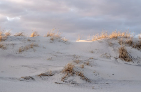 Photo of beach on a cloudy day