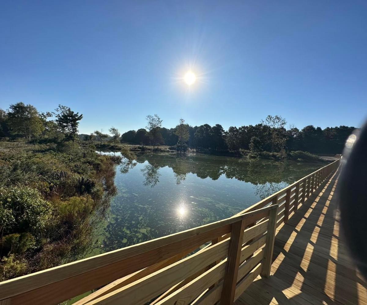 view of the sun over the pond