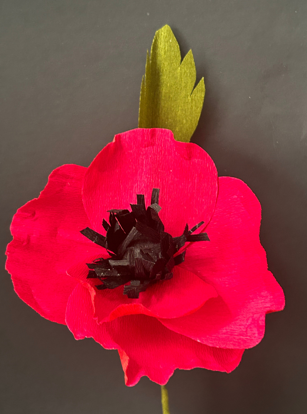 paper flower with red petals, black center, olive green leaf.